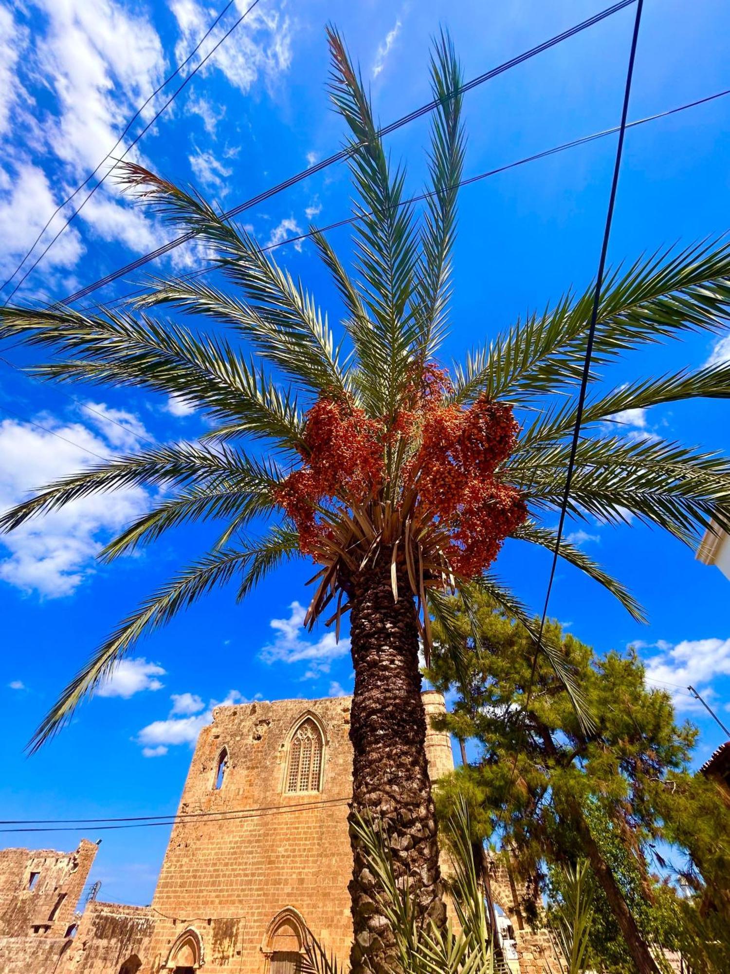 Royal Goddess Guest House, Walled City Famagusta  Exterior photo